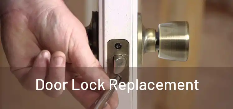  Door Lock Replacement 
